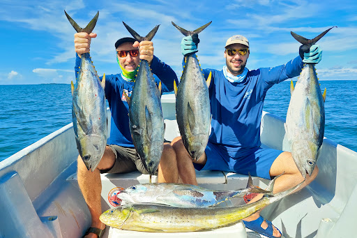 FISH PEDASi