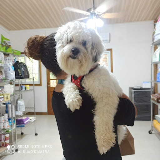 Bocas Vet Clinic