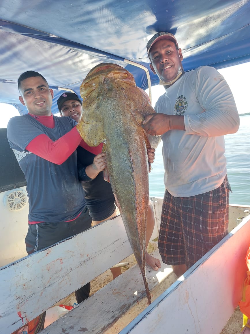 Opinión de Fish Pedasi: La Mejor Comida de Mar en Pedasí