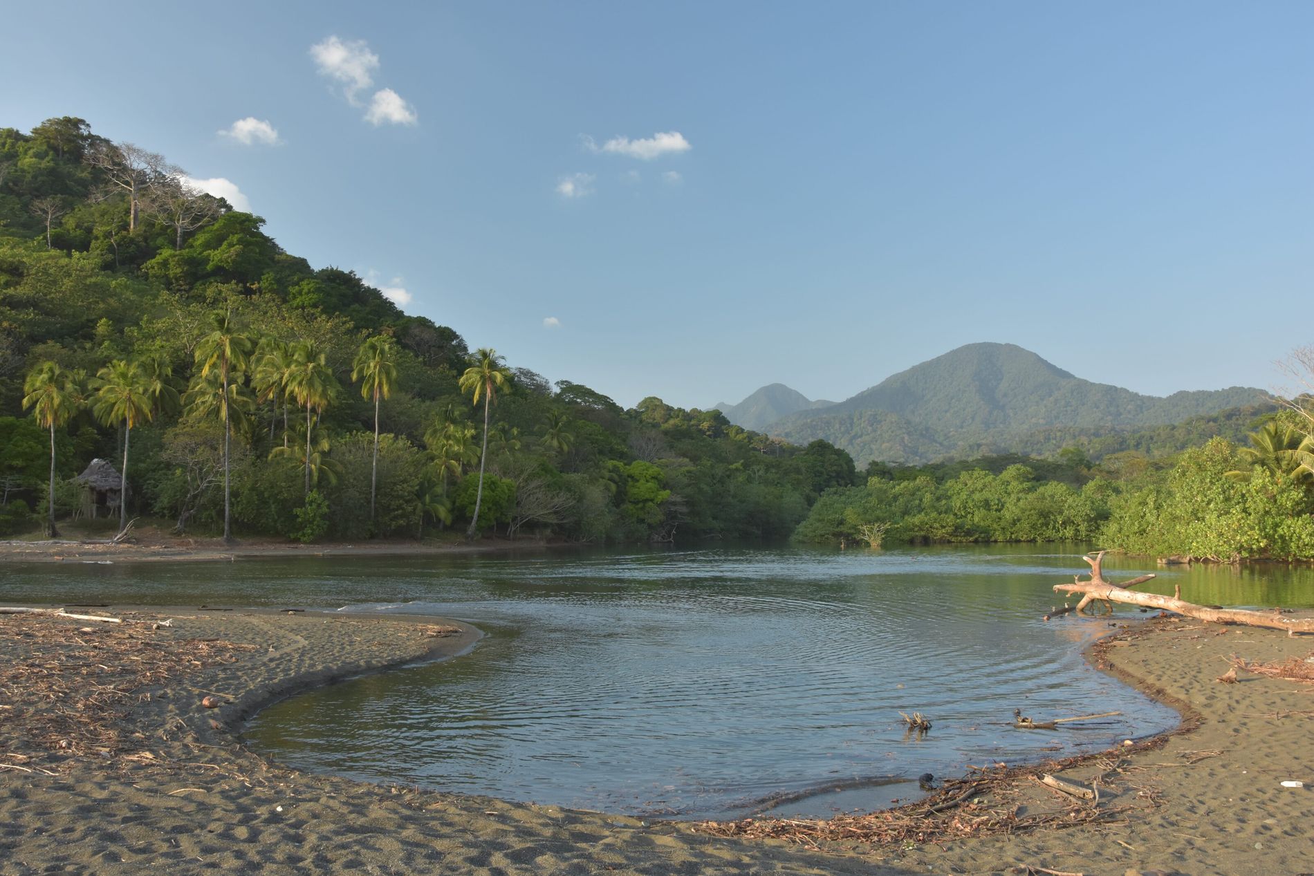 Título SEO Darién: Guía Completa de la Selva del Darién